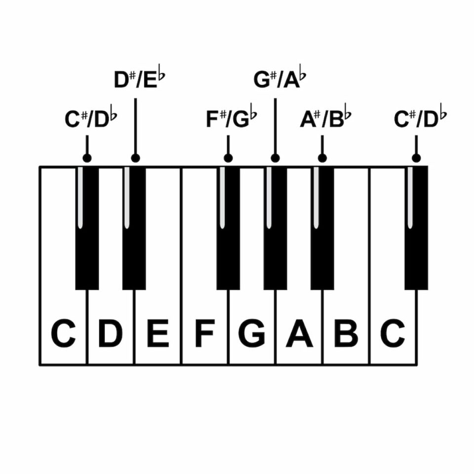 Musical Note Names Staff & Types To Know! Joshua Ross